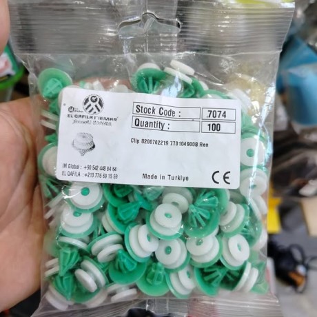 clips garniture Renault 100pcs