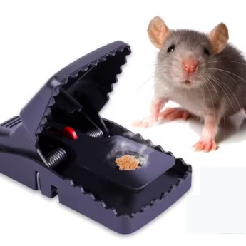 piège a rat en plastique