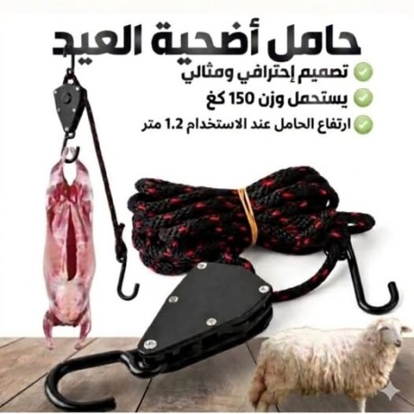 corde a cliquet -اضحية العيد-