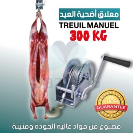 treuil manuel 300Kg