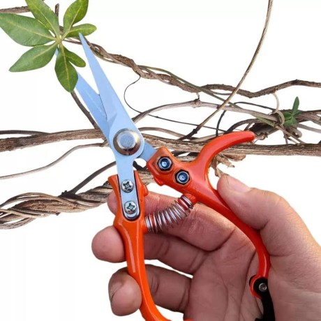 sécateur en acier pour la cueillette